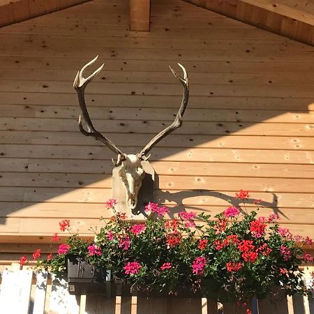 Alpenlodge Kirchbach Kirchbach  Luaran gambar