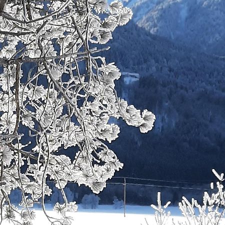 Alpenlodge Kirchbach Kirchbach  Luaran gambar