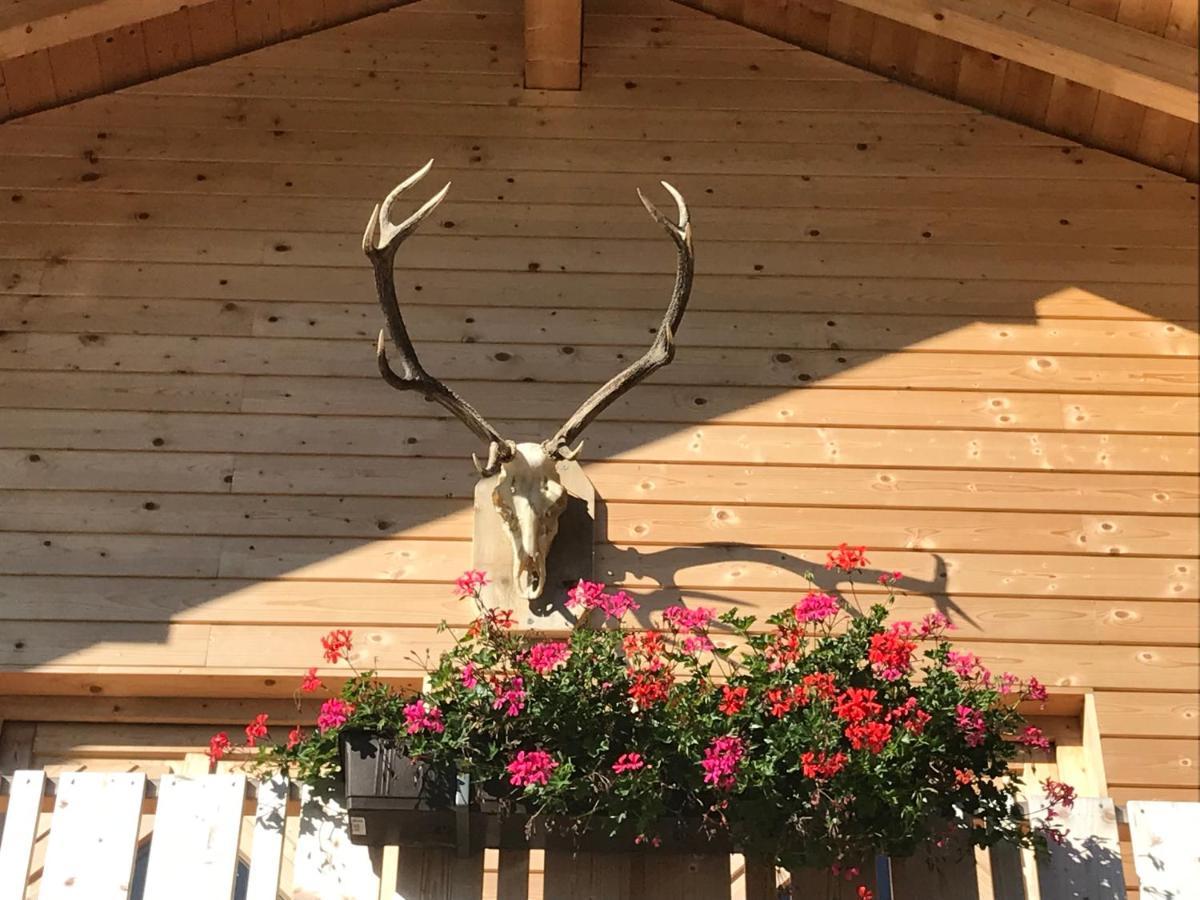 Alpenlodge Kirchbach Kirchbach  Luaran gambar