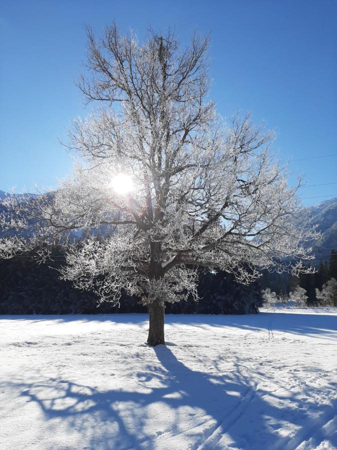 Alpenlodge Kirchbach Kirchbach  Luaran gambar