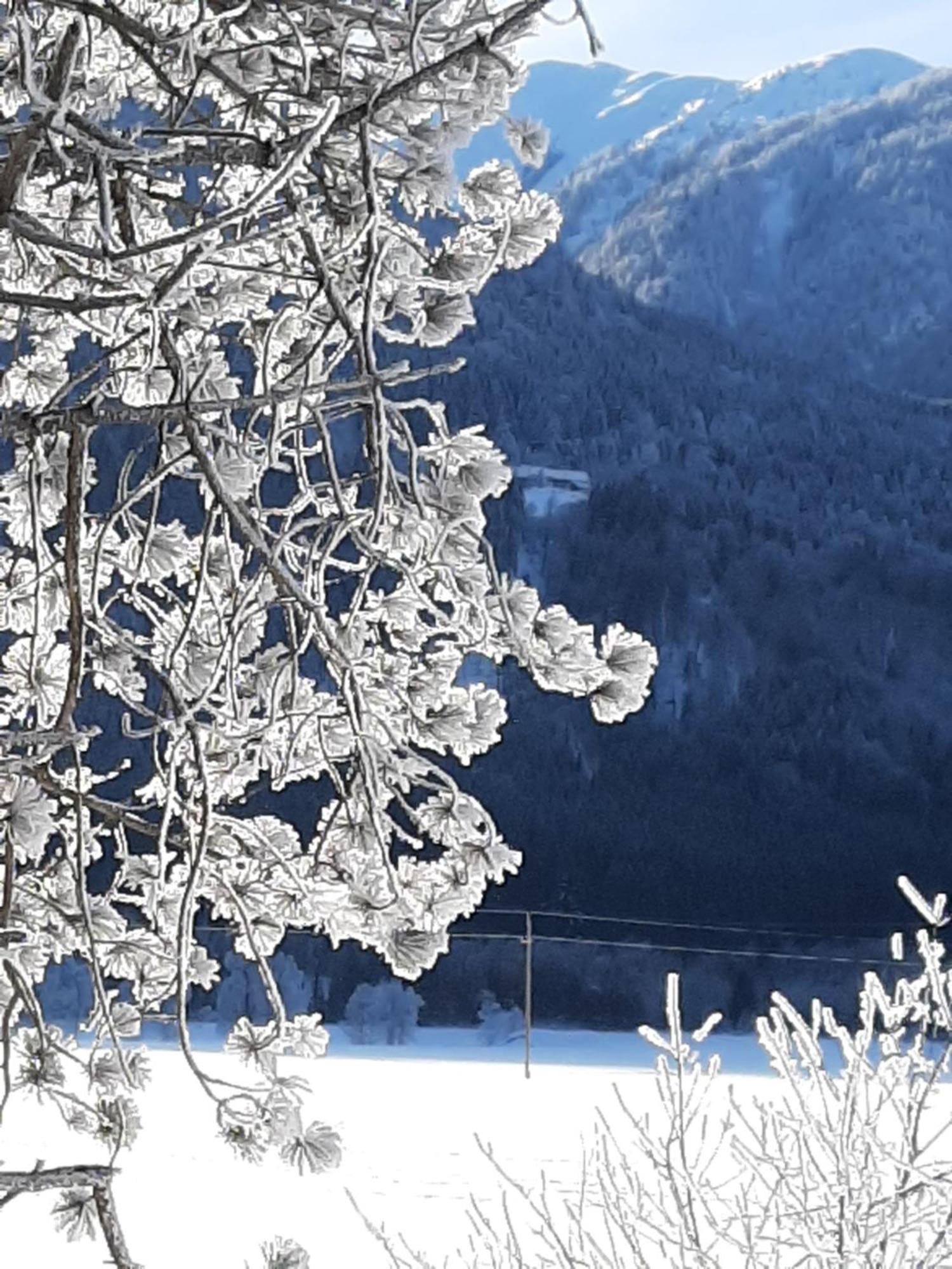 Alpenlodge Kirchbach Kirchbach  Luaran gambar