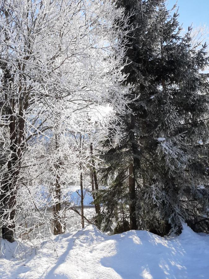 Alpenlodge Kirchbach Kirchbach  Luaran gambar